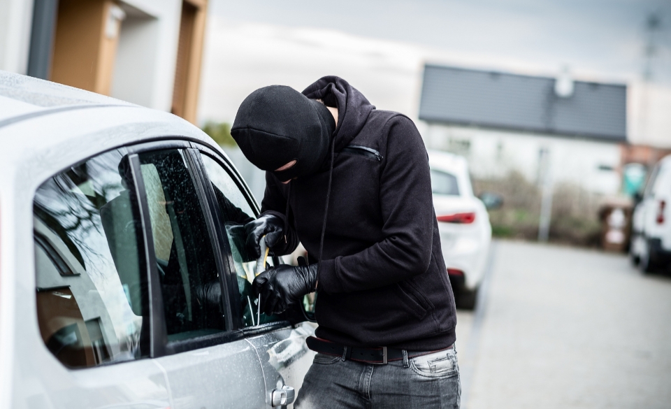 Top 10 Most Frequently Stolen and Recovered Vehicles | Autologics